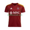 Maillot de Foot Servette FC Domicile 2025-26